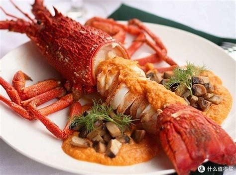 发现澳洲 篇一：清蒸澳洲龙虾的做法 清蒸澳洲龙虾怎么做才好吃_生鲜食品_什么值得买