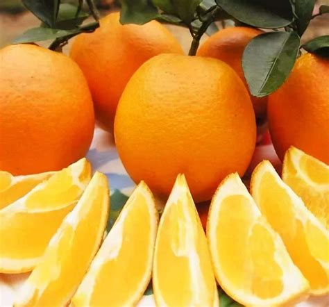 桔子、橘子、柑子、橙子、柚子的区别，你们知道吗？_果实_柑橘_植物