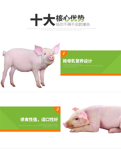 2019属猪男宝宝乳名大全(3)