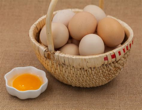 【科普】鸡蛋、鸭蛋、鹌鹑蛋，哪种更有营养？怎么选？还不知道的亏大了