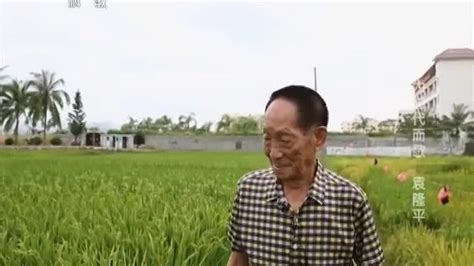 致敬袁隆平：回顾杂交水稻之父—袁老不平凡的一生！纪录片
