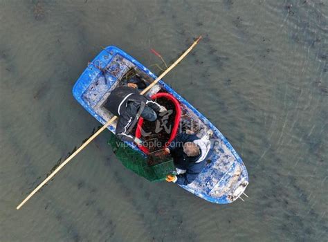 安徽巢湖：小龙虾捕捞忙上市-人民图片网