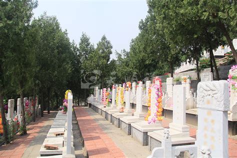 绍兴市生态公益性公墓（一期）项目通过竣工验收