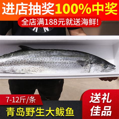 青岛开启鲅鱼季 5斤以上鲅鱼40元左右一斤 普通鲅鱼35块钱一斤