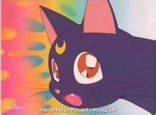 露娜水冰月美少女战士中会说话的黑猫~图片