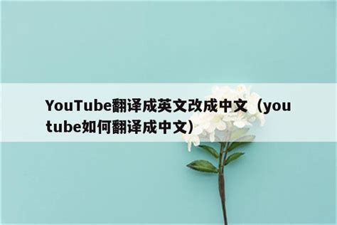 YouTube翻译成英文改成中文（youtube如何翻译成中文） - IOS分享 - 苹果铺