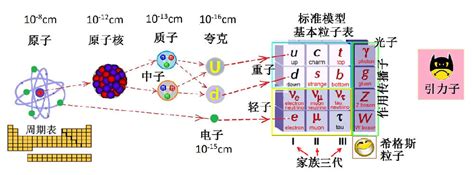 原子的结构 - 电子课程 - CN Mozaik电子教育与学习