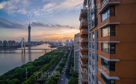 ICEFuturesexchange 的图像结果