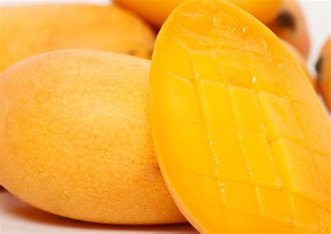 芒果叶的功效与作用 芒果叶的用法用量和使用禁忌 - 中药360