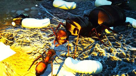 全面战争模拟器：蚂蚁帝国联手蜜蜂帝国入侵军队的玩具王国
