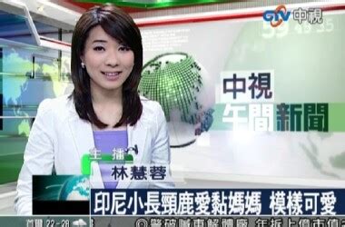 香港TVB无线电视TVB新闻台在线直播观看,网络电视直播