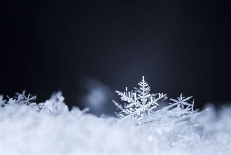 雪花，雪，冬天,图片 - 真棒壁纸