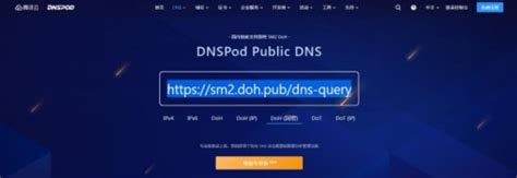 国内dns最快的服务器地址（dns设置最好最快的方法） - 思埠