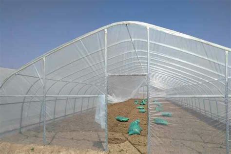 天水秦州区现代农业科技示范园区计划3年建成蔬菜大棚5000座