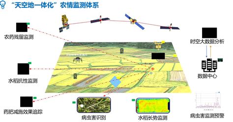 农业四情监测系统 JD-Q2竞道 大田 智能 农林环境监测站 农情监测设备