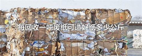 每回收一吨废纸可造好纸多少公斤 - 早若网