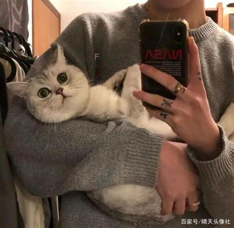 非主流猫咪男生头像