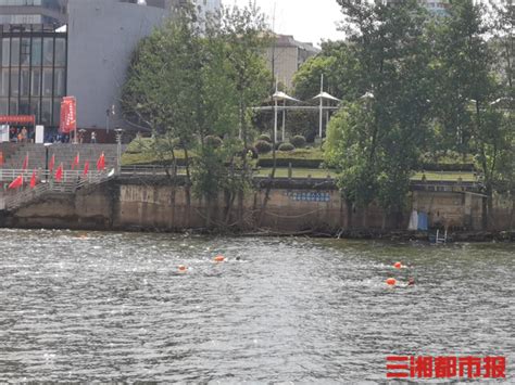 广州多个水域无人管 野泳者屡屡以身犯险_新浪新闻
