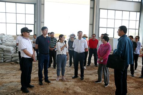 9月16日上午，建投集团对在建光伏产业项目开展“两节”（中秋节、国庆节）前安全生产大检查。
