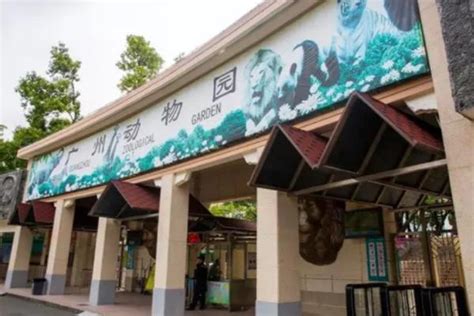 广州动物园开放时间及门票2022_旅泊网