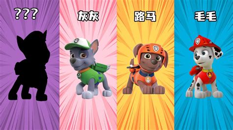 汪汪队阿奇图片