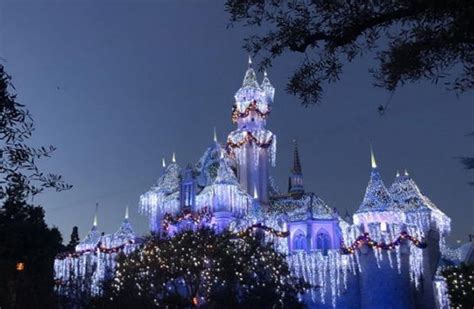 2021圣诞节去上海迪士尼冷吗-上海迪士尼圣诞节有什么活动吗-圣诞节去上海迪士尼人多吗 - 见闻坊