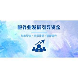 2024年第一批上海市服务业发展引导资金_上海市企业服务云