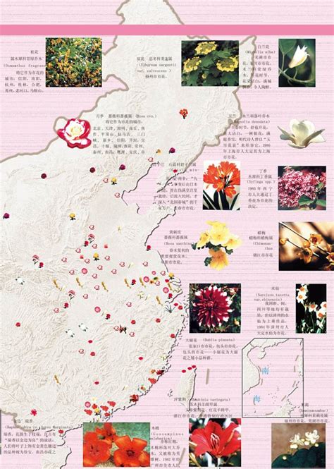 2021南京海棠花什么时候开 南京看海棠花的地方_旅泊网