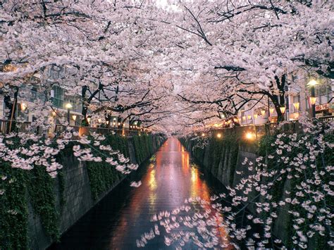 The 17 Best Things to Do in Kyoto, Japan - TravellyClub