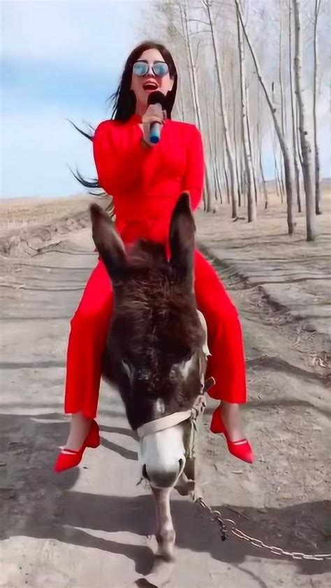 美女骑驴唱歌，网友这是要干嘛去呀，别把驴累着_腾讯视频