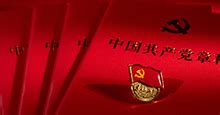 中国共产主义青年团章程图册_360百科
