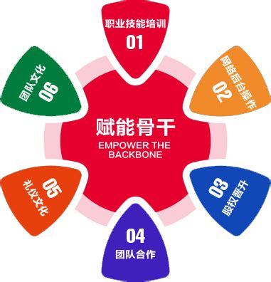 网站seo基本优化原则（网站推广优化排名seo）-8848SEO