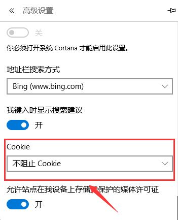 已经打开了还是一直提示 您的浏览器的Cookie功能被禁用，请开启_360社区