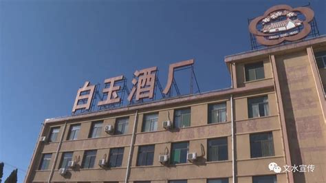 宁波这家75年历史的酒厂，竟是“呛皮烧”的故里凤凰网宁波_凤凰网