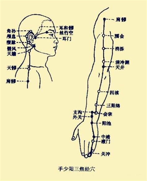 三焦经经络图图片