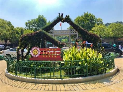 【携程攻略】红山森林动物园门票,南京红山森林动物园攻略/地址/图片/门票价格