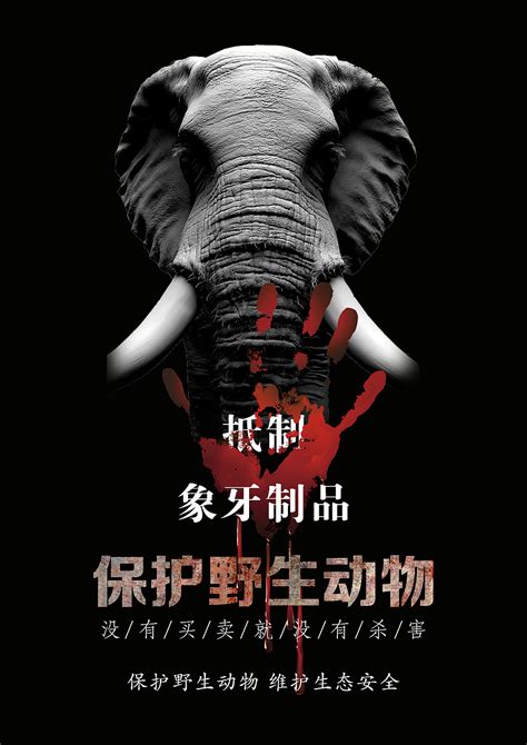 保护野生动物|平面|海报|大悦吖 - 原创作品 - 站酷 (ZCOOL)