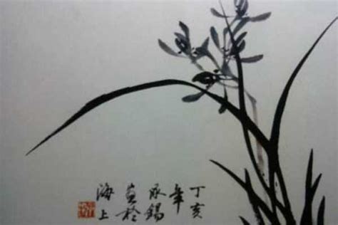 “蕙质兰心，香雅满堂”赏兰好去处 杭州植物园蕙兰艺术节开幕
