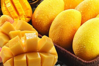 食用芒果的功效与作用、禁忌、营养价值及食用方法-农业种植-去哪铺