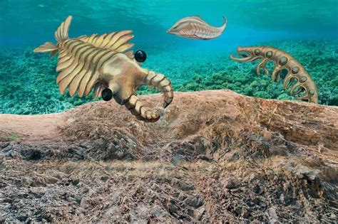 白垩纪海洋竟然存在这种生物 十大远古鱼类盘点_驱动中国
