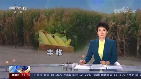 [CCTV-13]《新闻直播间》新疆 1663.25公斤！刷新玉米亩产全国纪录 中国农业科学院
