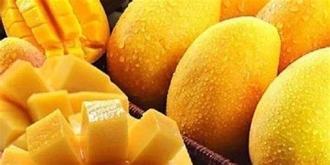 来月经不能吃芒果是真的吗 芒果的功效与作用 _八宝网