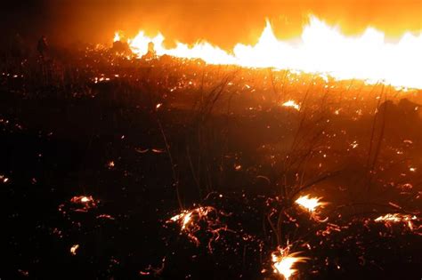 秋吉台大火烧山：你可能从未感受过如此震撼的传统祭典|火烧山|秋吉台|喀斯特_新浪新闻