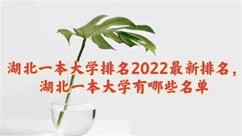 2023湖北十大专科院校排名：盘点湖北省最好的十所专科大学！