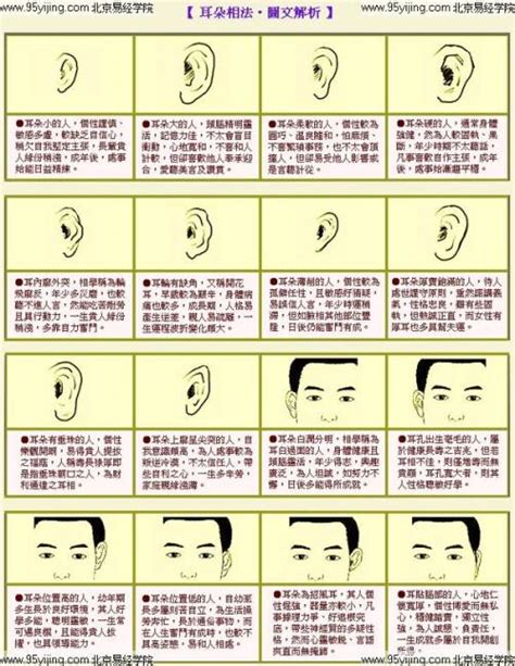 面相图解大全图片