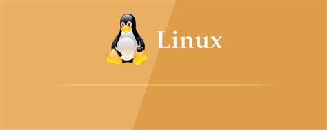 linux系统下如何切换到root用户 | Scott