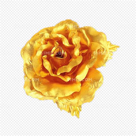 金箔玫瑰花花朵图片免费下载 - 觅知网