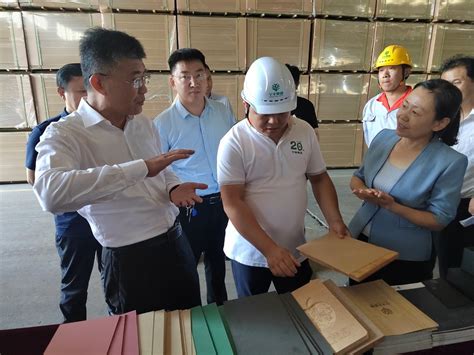 菏泽市政协主席带队调研单县木材加工产业发展现状-木业网