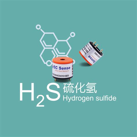 固态聚合物硫化氢气体传感器应用技术,电化学硫化氢传感器-爱氪森科技