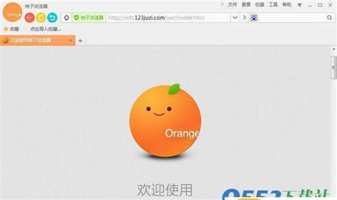 orange橘子官网下载-Orange软件中文版下载-88软件园